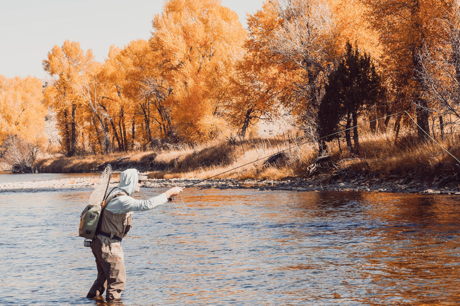 The Best Fishing Spots in the US (Ranked)