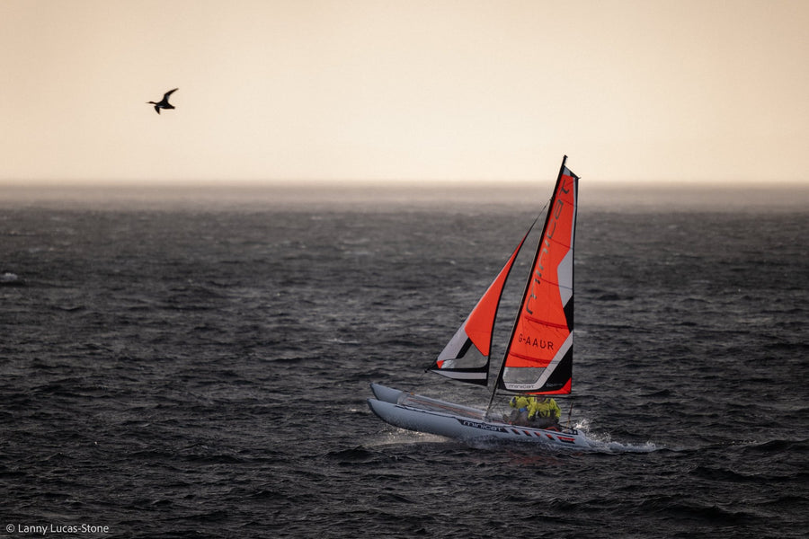 Demo 2025 MiniCat 520 Explorer - Red Beard Sailing