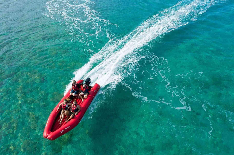 Mustang GT - Red Beard Sailing