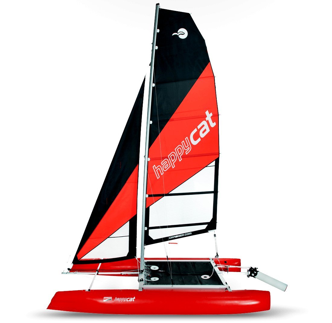 Happy Cat Assembled Image