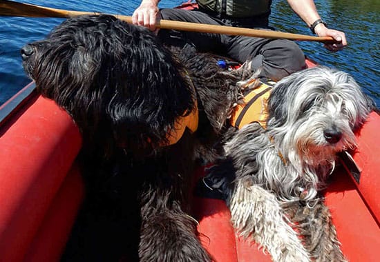 High Freeboard Image