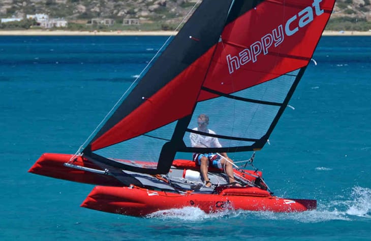 Happy Cat Evolution Image