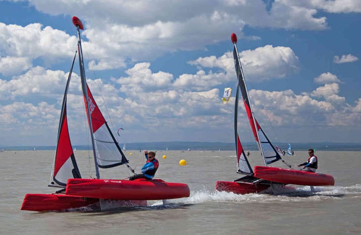 Happy Cat Hurricane Image