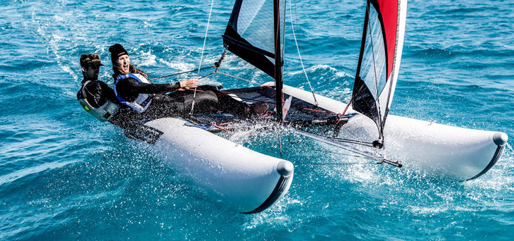 MiniCat 460 Esprit Tandem Image