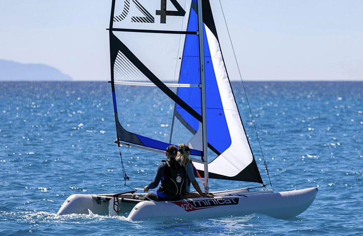 MiniCat 420 Emotion Image