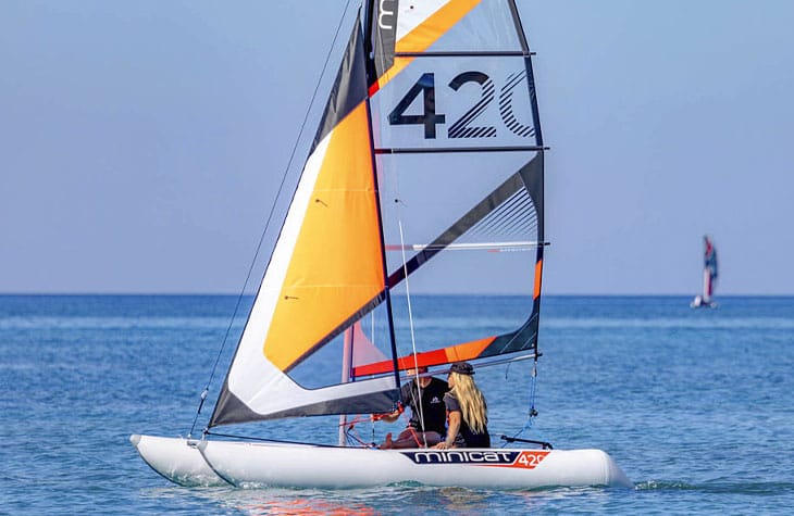 MiniCat 420 Evoque Image